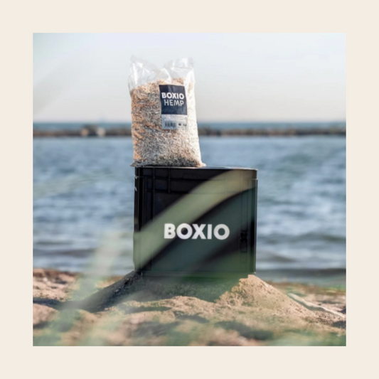 BOXIO HEMP